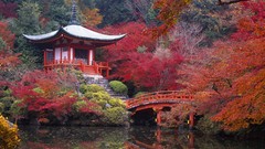 Autumn Japan Garden maple Kyoto Bridges lakes