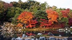 Autumn Japan maple colors lakes Japanese gardens
