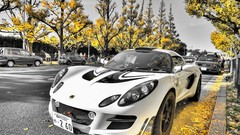 Autumn Japan Tokyo cityscapes