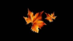 Autumn leaf 1440x900