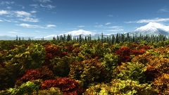 Autumn leaves forest Trees