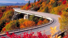 Autumn leaves Highways roads