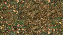 Autumn leaves Textures fallen