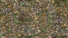 Autumn leaves Textures fallen