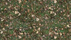 Autumn leaves Textures fallen