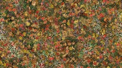 Autumn leaves Textures fallen