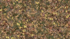 Autumn leaves Textures fallen