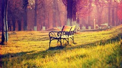Autumn light evening Parks pair shadows