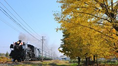 Autumn locomotives trains
