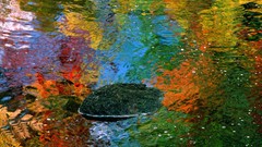 Autumn Maine reflections