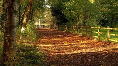 Autumn meadows paths ferry