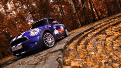 Autumn Mini Cooper