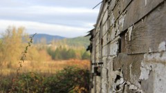 Autumn paint broken barn Wood wood texture