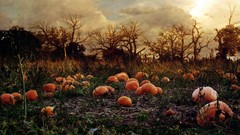 Autumn pumpkins patch forests haunted