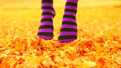 Autumn purple retro stockings striped legwear striped clothing