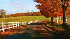 Autumn roads