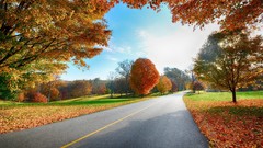 Autumn roads