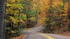 Autumn roads colors