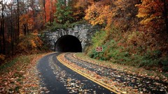 Autumn roads tunnels