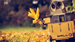 Autumn Robots cartoons WALL E