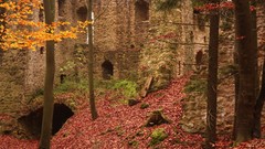 Autumn ruins
