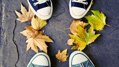 Autumn Shoes Converse fallen leaves