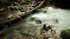 Autumn streams