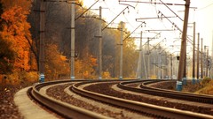 Autumn trains