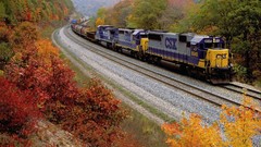 Autumn trains railroad tracks