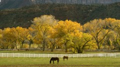 Autumn Utah farms