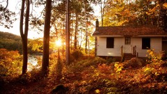 Autumn white cottage forests