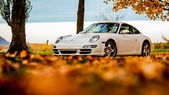 Autumn white porsche 911
