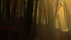 Autumnwood autumn Wood digitalart