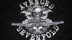 Avenged sevenfold