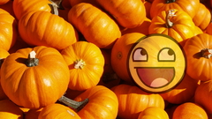 Awesome funny pumpkins Food