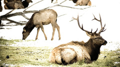 Awesome graf metal hand