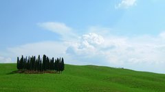 Awesome nature landscape Trees