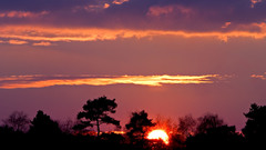 Awesome orange sky sun