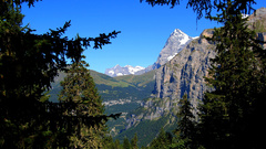 Awesome place hills forest