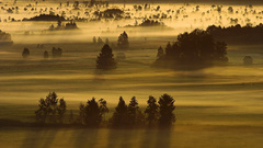 Awesome view nature scenery