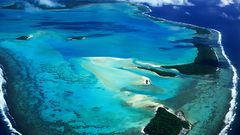 Awful ocean reef nature