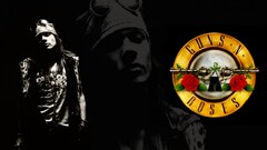 axl rose guns n roses