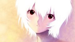 Ayanami rei neon genesis