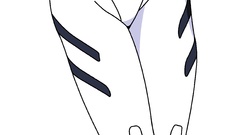 Ayanami rei neon genesis