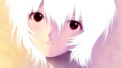 Ayanami rei neon genesis