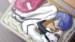 Ayanami rei neon genesis