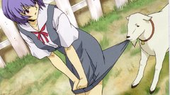 Ayanami rei neon genesis