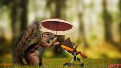 Baby Animals grass outdoors