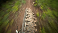 Back high Resolution