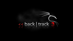 Back track dragon abstract